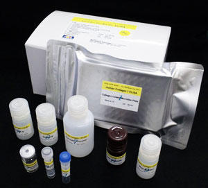 Human Collagen type I, ELISA kit (without pepsin)