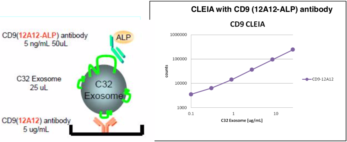 Anti CD9 Antigen (MRP-1/Tspan-29) mAb (Clone 12A12)