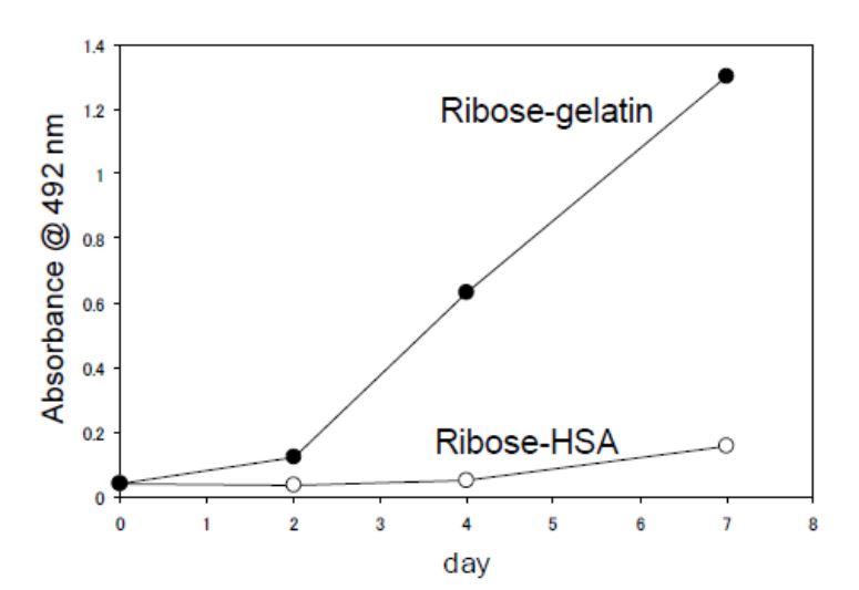 Ribose-Gelatin