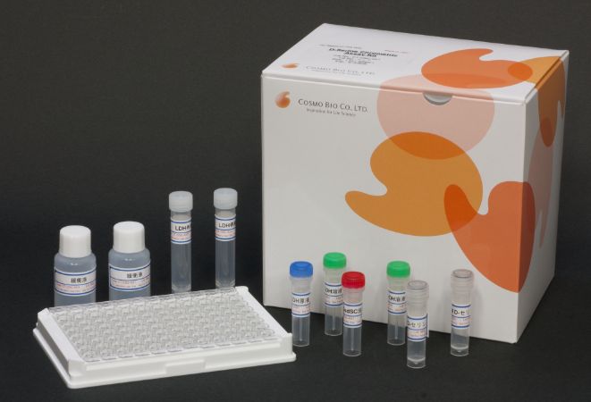 D-Serine Colorimetric Assay Kit