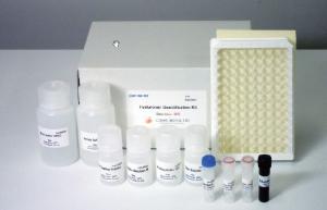 Hyaluronan Quantification Kit