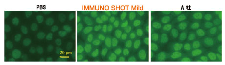 IMMUNO SHOT Immunostaining, Mild