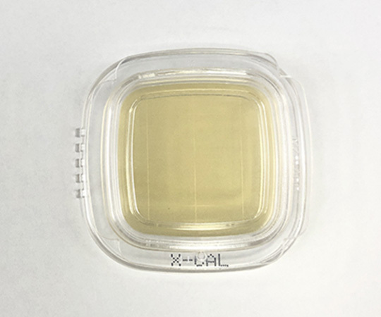 X-Gal Agar