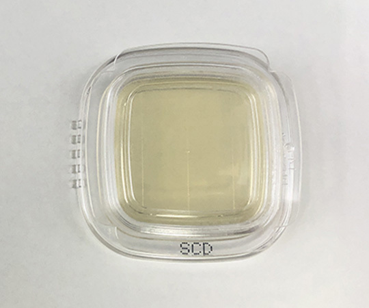 SCD Agar