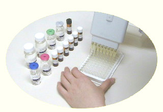 Highly Sensitive 8-OHdG Check ELISA Kit