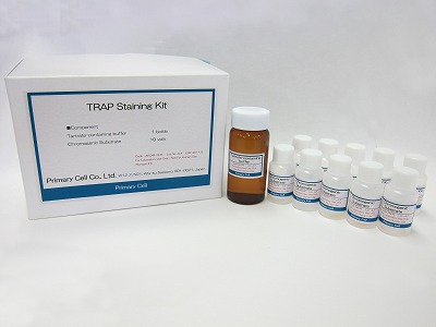 TRAP Staining Kit