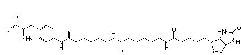 Site-Directed Biotin Labeling, Biotin-XX-AF (amber), CloverDirect