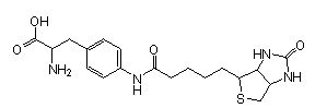 Site-Directed Biotin Labeling, Biotin-AF (amber), CloverDirect