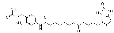 Site-Directed Biotin Labeling, Biotin-X-AF (amber), CloverDirect