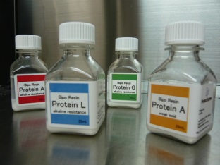 Bipo Resin Protein L (Alkaline Resistance)