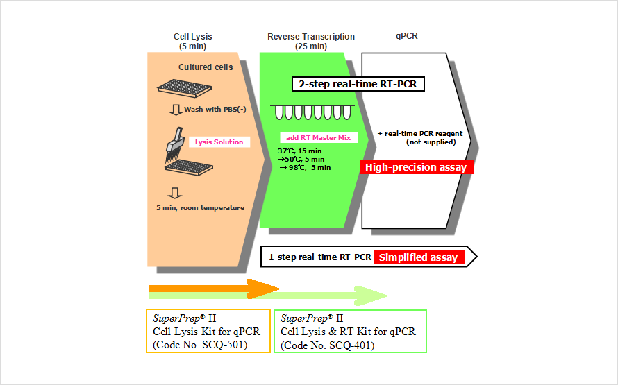 SuperPrep II Cell Lysis & RT Kit for qPCR